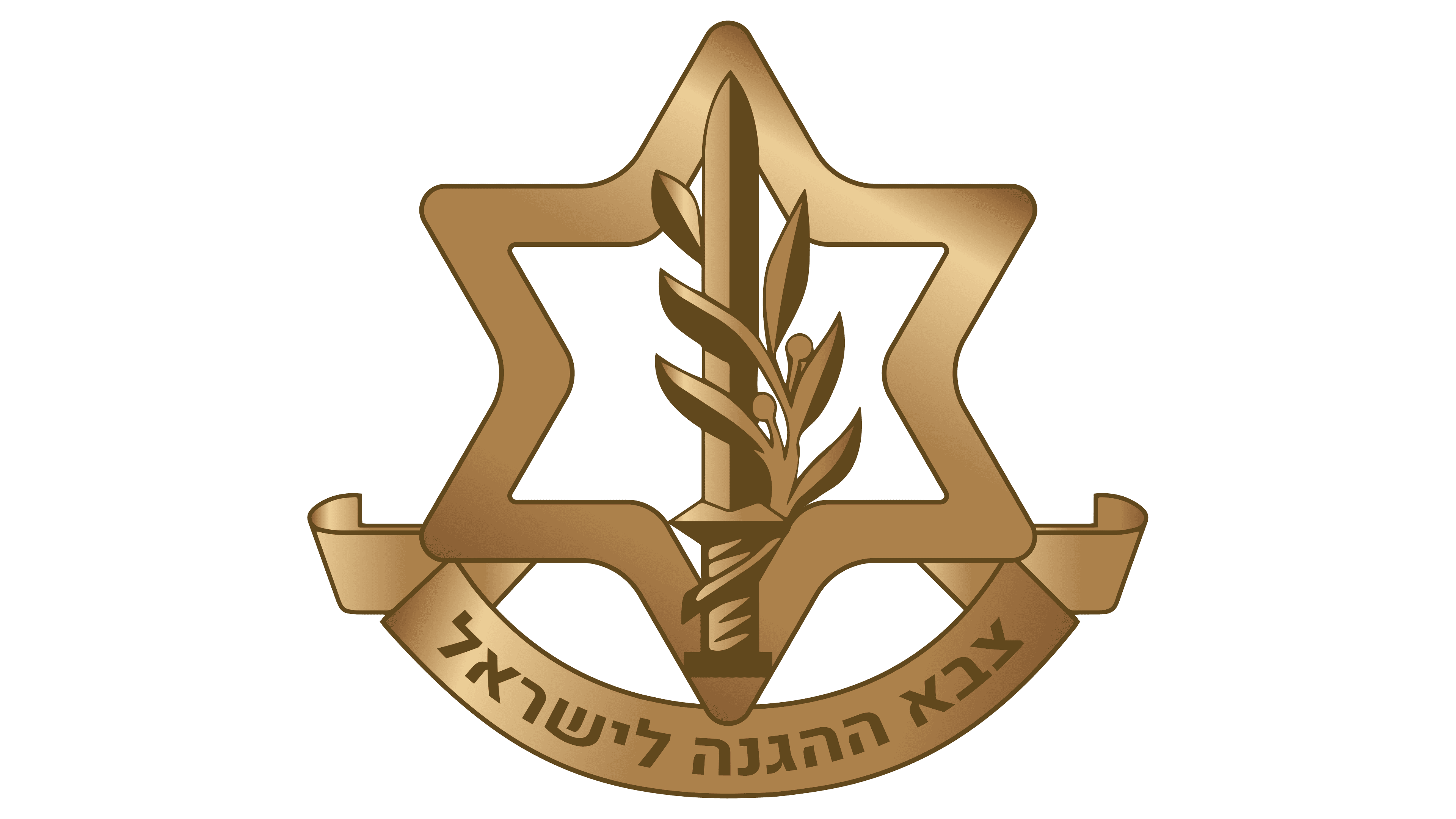 Israel Defense Forces (IDF)