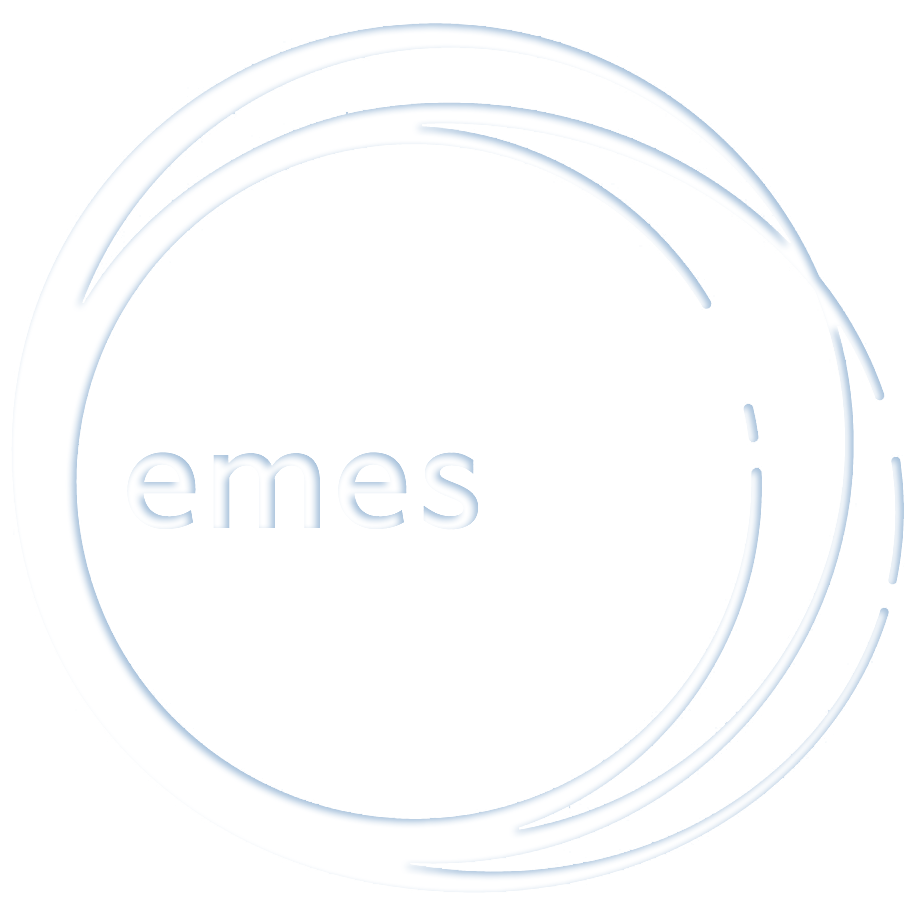 emes project llc