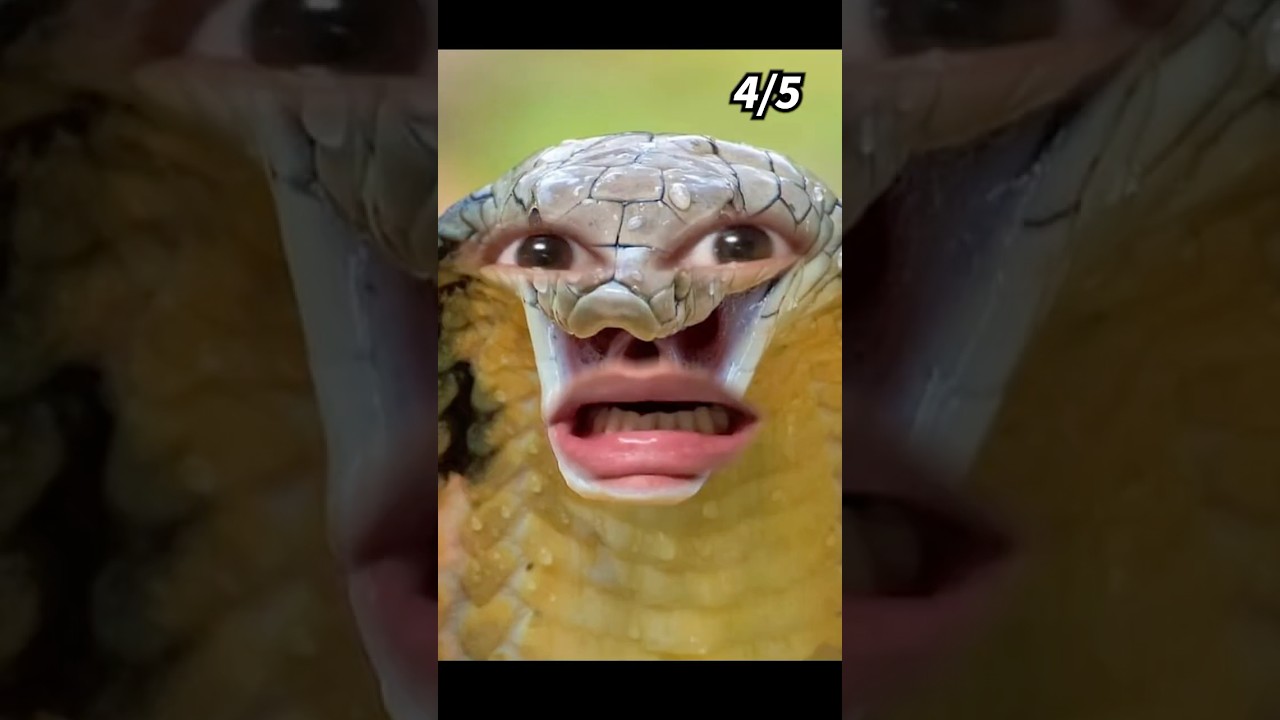 Which number do you like??😝Comedy Remix