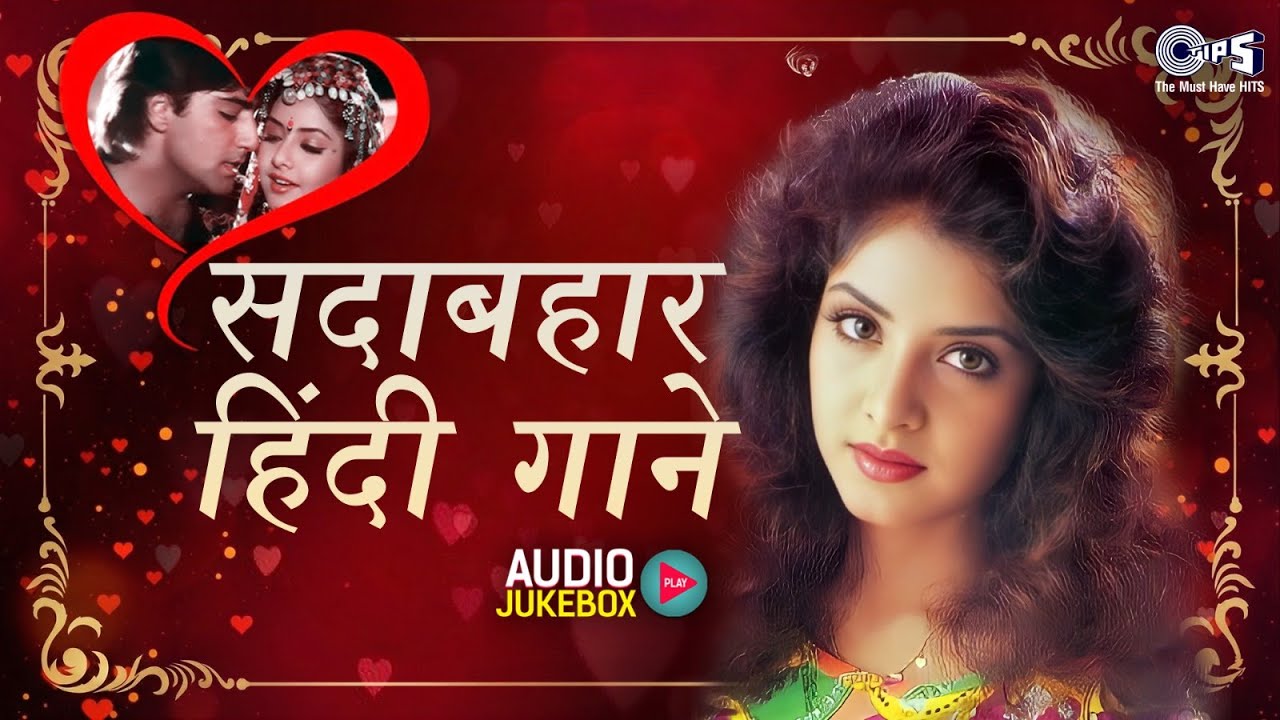 सदाबहार हिंदी गाने | 90s Bollywood Love Songs | Hindi Song | Alka Yagnik, Udit Narayan, Kumar Sanu
